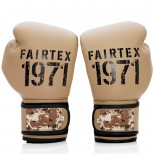 Перчатки боксерские Fairtex (BGV-25 F-day-2)